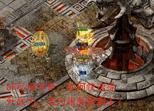 SF˽�����棺��ο�������ս������Ϊ������������