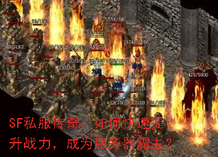 SF˽�����棺��ο�������ս������Ϊ������������
