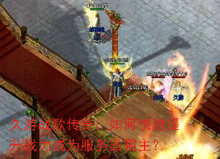 ����ս�贫�棬��ο�������ս����Ϊ������������