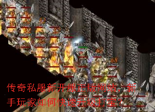 ����˽���¿���������վ�����������ο��������򱦣�