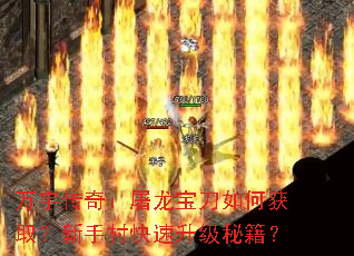 ����棺����������λ�ȡ�����ִ���������ؼ���