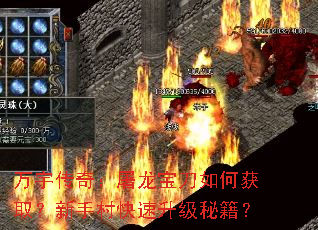 ����棺����������λ�ȡ�����ִ���������ؼ���