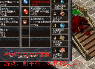 www523zgcom������Ϸ�����ִ���ô���ٷ�����