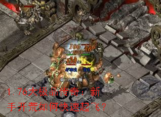 1.76��Ʒ���棺���ֿ�����ο�����ɣ�
