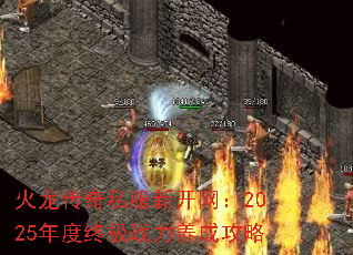��������˽���¿�����2025����ռ�ս�����ɹ���