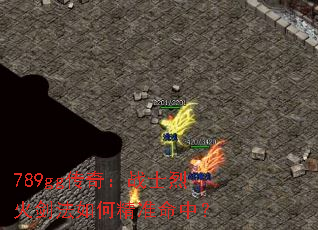 789gg���棺սʿ�һ𽣷���ξ�׼���У�