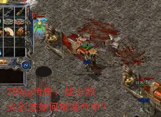 789gg���棺սʿ�һ𽣷���ξ�׼���У�