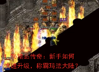 1.76��Ʒ���棺������ο����������ư��귨��½��