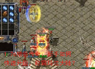 1.76��Ʒ���棺������ο����������ư��귨��½��
