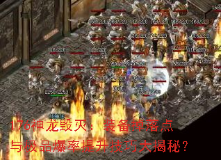 176��������װ��������뼫Ʒ�����������ɴ���أ�