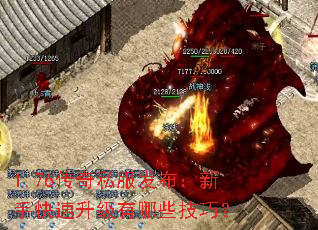1.76����˽�����������ֿ�����������Щ���ɣ�