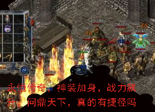 ���㴫�棬��װ������ս��������ʶ����£�����нݾ���