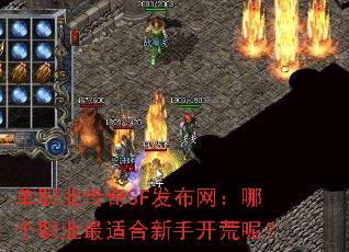 ��ְҵ����SF���������ĸ�ְҵ���ʺ����ֿ����أ�