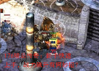 176��Ʒ���棺���ֿ������֣�ս������к����У�