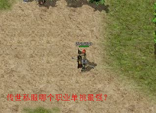 ����˽���ĸ�ְҵ������ǿ��