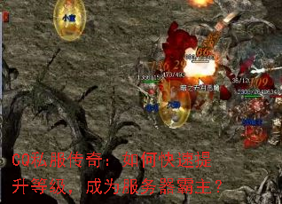 CQ˽�����棺��ο��������ȼ�����Ϊ������������