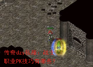 ����dzy˽����սʿְҵPK��������Щ��