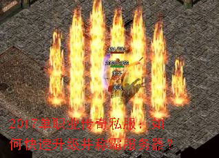 2017��ְҵ����˽������ο����������ưԷ�������
