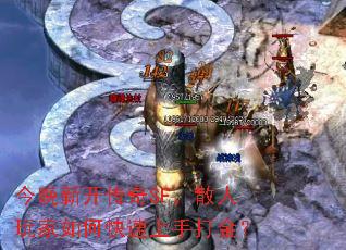�����¿�����SF��ɢ�������ο������ִ��