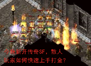 �����¿�����SF��ɢ�������ο������ִ��