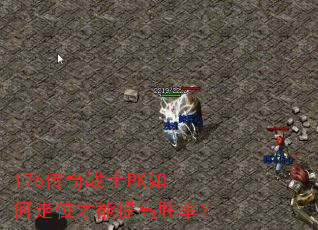 176����սʿPK�����λ�������ʤ�ʣ�