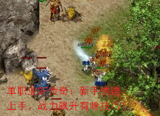 ��ְҵSF���棺���ֿ������֣�ս�������ɶ���ɣ�