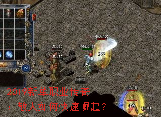 2019�µ�ְҵ���棺ɢ����ο�������