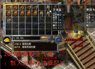 2019�µ�ְҵ���棺ɢ����ο�������