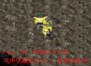 haosf123������ڴ�����Ϸ�п�������ս�����ưԷ�������