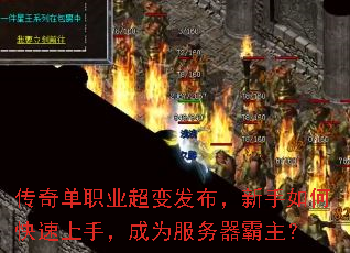 ���浥ְҵ���䷢����������ο������֣���Ϊ������������