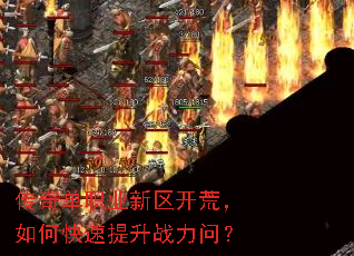 ���浥ְҵ�������ģ���ο�������ս���ʣ�