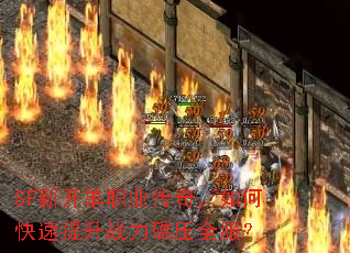 SF�¿���ְҵ���棬��ο�������ս����ѹȫ����