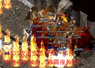 65535���ٱ�̬���棺��ο�������ս�����ưԷ�������