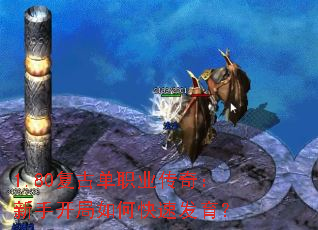 1.80���ŵ�ְҵ���棺���ֿ�����ο��ٷ�����