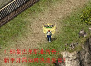 1.80���ŵ�ְҵ���棺���ֿ�����ο��ٷ�����