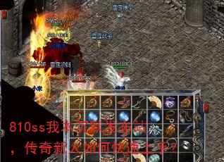 810ss�ұ���Ĭ����վ������������ο������֣�