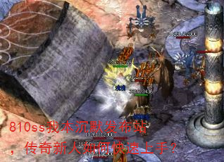 810ss�ұ���Ĭ����վ������������ο������֣�