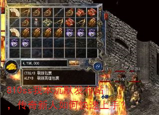 810ss�ұ���Ĭ����վ������������ο������֣�