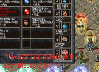��ְҵ������ô��������ս��ˢBOSS����װ��
