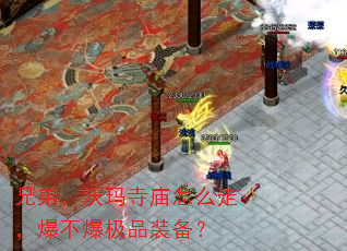 �ֵܣ�����������ô�ߣ���������Ʒװ����