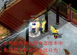 ����ڴ���˽���ϻ��汾�п�������ְҵ���ս������
