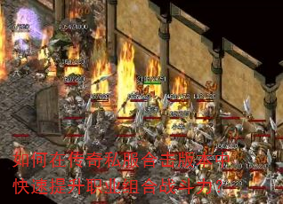 ����ڴ���˽���ϻ��汾�п�������ְҵ���ս������