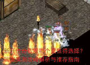 �¿�����˽���ĸ���ֵ��ѡ�����ʵ�⹥�Խ������Ƽ�ָ��