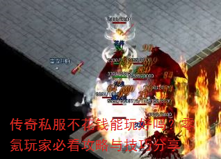 ����˽������Ǯ������������ұؿ������뼼�ɷ���
