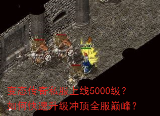 ��̬����˽������5000������ο��������嶥ȫ���۷壿