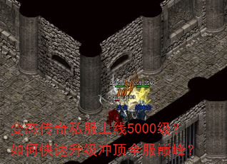 ��̬����˽������5000������ο��������嶥ȫ���۷壿