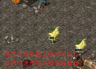 ��̬����˽������5000������ο��������嶥ȫ���۷壿