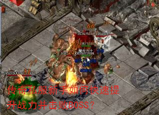 ����˽��������ο�������ս��������BOSS��