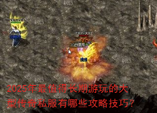 2025����ֵ�ó�������Ĵ��ʹ���˽������Щ���Լ��ɣ�