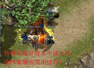 ����˽��SF�汾��սʿְҵPK����Щʵ�ü��ɣ�